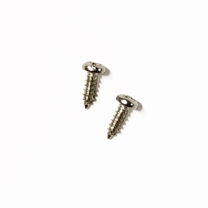 Screws-Silver